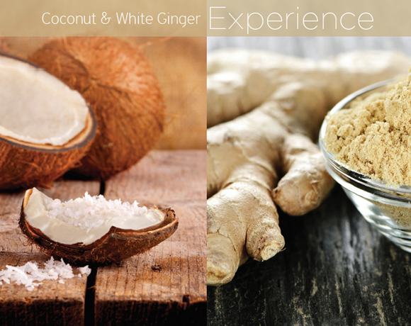 Cuccio - huile cuticule coconut & white ginger - 3.7 ml